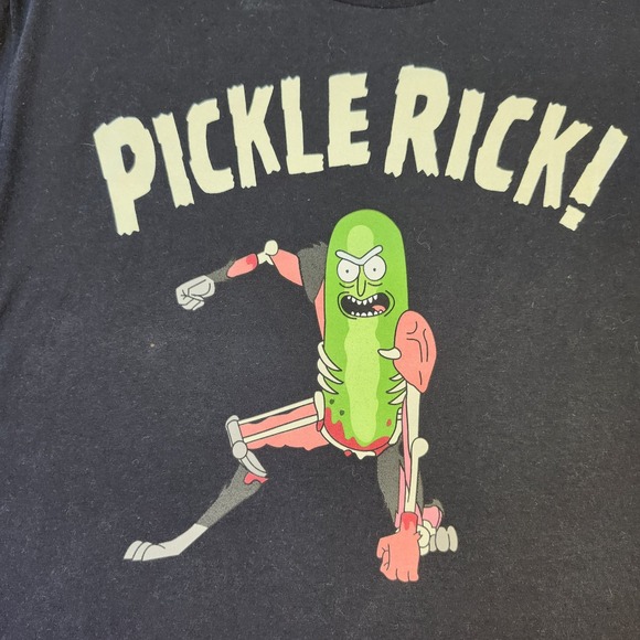 Rick and Morty Pickle Rick Shirt Mens Large Ripple Junction Adult Swim 2019 Tee - Picture 2 of 6